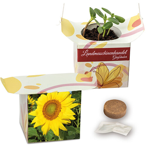 Blumenampel - Sonnenblume , Papier, Saatgut, Kunststoff, 6,20cm x 12,40cm x 6,20cm (Länge x Höhe x Breite), Bild 1