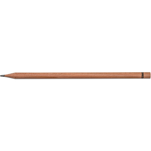 Bleistift Mit Samenpapieretui - Karotte, Druck 4/4-c , Papier, Saatgut, Holz, Bleistift, 18,50cm x 0,70cm x 6,50cm (Länge x Höhe x Breite), Bild 5