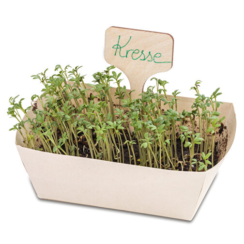 Kit de plantation - set de 3 - basilic / cresson de jardin / mélange d\'herbes aromatiques, Image 3