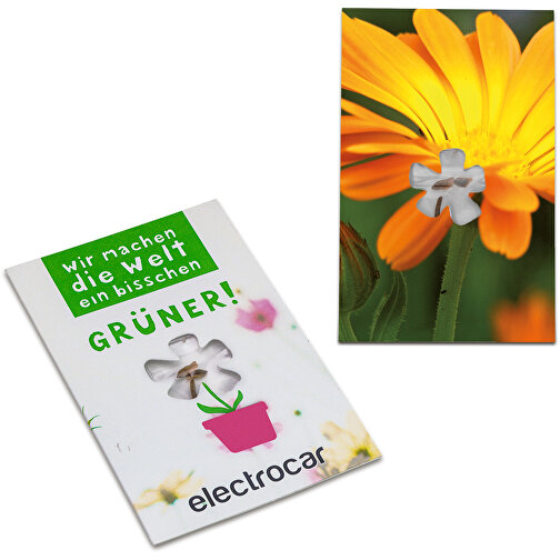 Mini carte de graines Fleur - Souci, Image 1