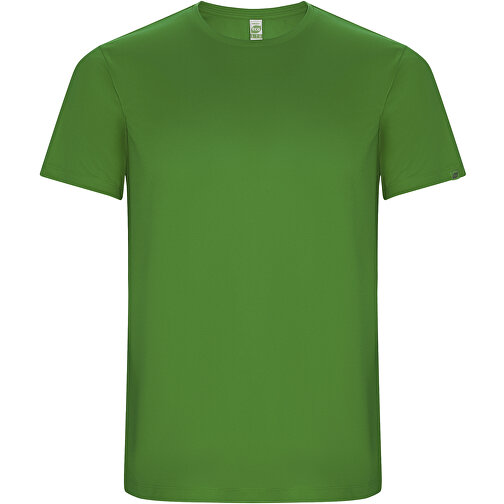 Imola Sport T-Shirt Für Herren , green fern, Interlock Strick 50% Recyceltes Polyester, 50% Polyester, 135 g/m2, 2XL, , Bild 1