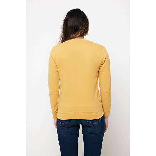 Iqoniq Zion Rundhals-Sweater Aus Recycelter Baumwolle , ochre yellow, 50% recycelte und 50% biologische Baumwolle, XL, 76,00cm x 1,00cm (Länge x Höhe), Bild 11