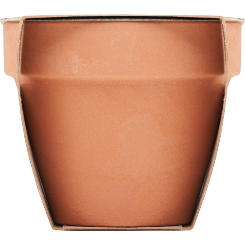 Vaso di menta, Immagine 6