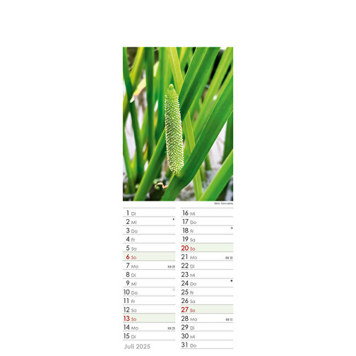 Medisinplanter - I botanikkens rike, Bilde 14