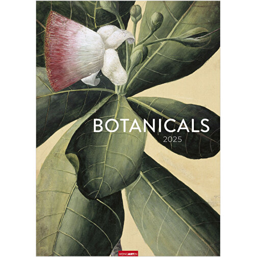 Botanicals , Papier, 49,00cm x 68,00cm (Länge x Breite), Bild 1