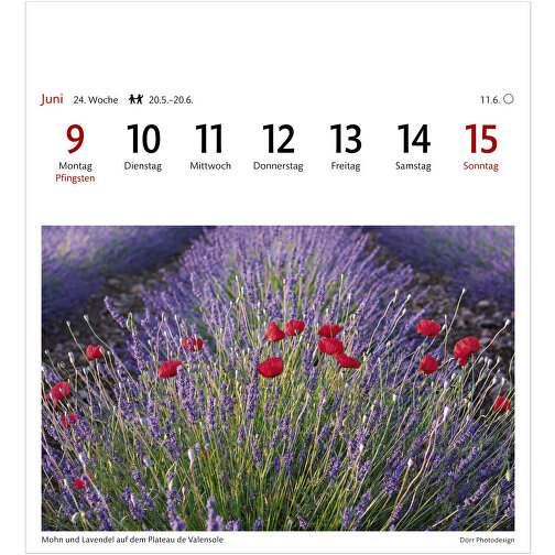 Provence Sehnsuchtskalender , Papier, 15,40cm x 16,50cm (Länge x Breite), Bild 6