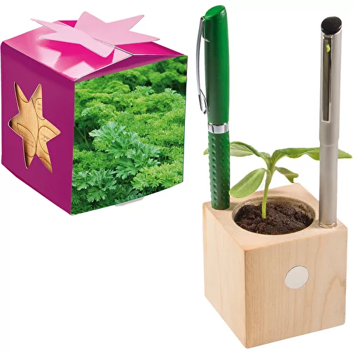 Pot cube boisde bureau en boite star-box avec graines - ciboulette, Image 1