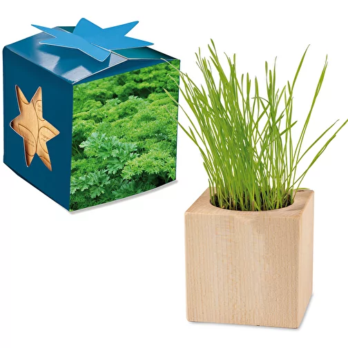 Pot cube bois Maxi en boite star-box avec graines - Persil, Image 1