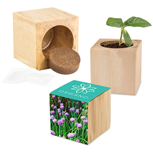 Pot cube bois maxi avec graines - ciboulette, 1 sites gravés au laser, Image 1