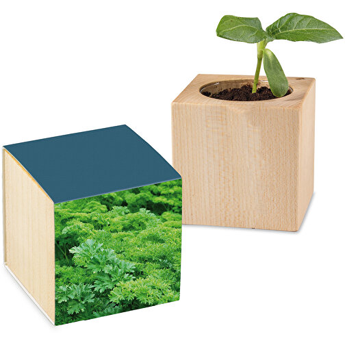 Pot cube avec graines - Persil, Image 1