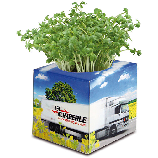 Cube à planter 2.0 avec graines - ciboulette, Image 4