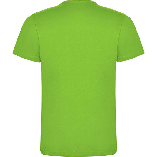 Dogo Premium T-Shirt Für Kinder , oasis green, Single jersey Strick 100% Baumwolle, 165 g/m2, 11/12, , Bild 2