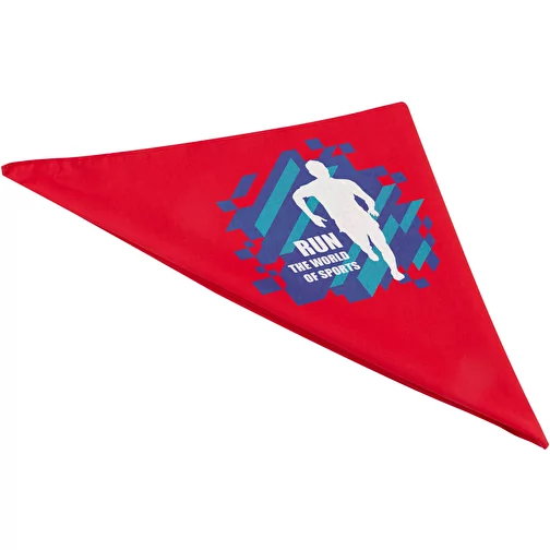 Herakles bandana, Obraz 2