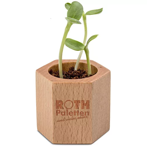 Bois de plantation Hexagon avec graines - Cresson de jardin, 1 face gravée au laser, Image 2
