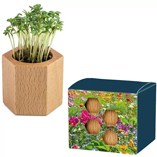 Bois de plantation Hexagon avec graines - Mélange de fleurs d\'été, Image 1