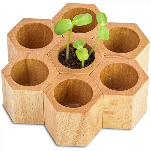 Bois de plantation Hexagon avec graines - Mélange de fleurs d\'été, Image 3