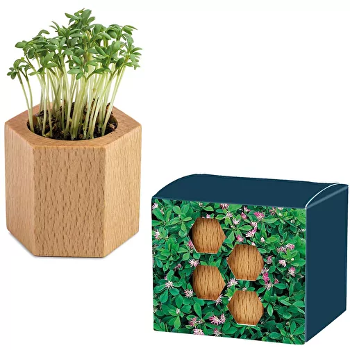 Bois de plantation Hexagon avec graines - Trèfle de Perse, Image 1
