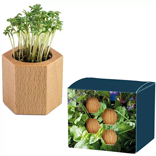 Bois de plantation Hexagon avec graines - Mélange d\'herbes aromatiques, Image 1
