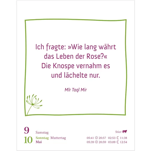 , Bild 8