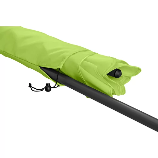 Parasol R, Image 5