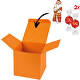 Boxfarbe Orange