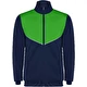 navy blue / verde helecho