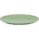 nature leaf green